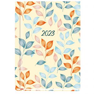 2024 Kalendarz MiP Ola A6